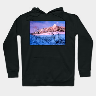 The Flatirons In Winter Blues And Pink Hoodie